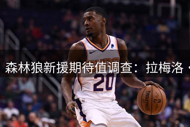 森林狼新援期待值调查：拉梅洛·鲍尔独占鳌头
